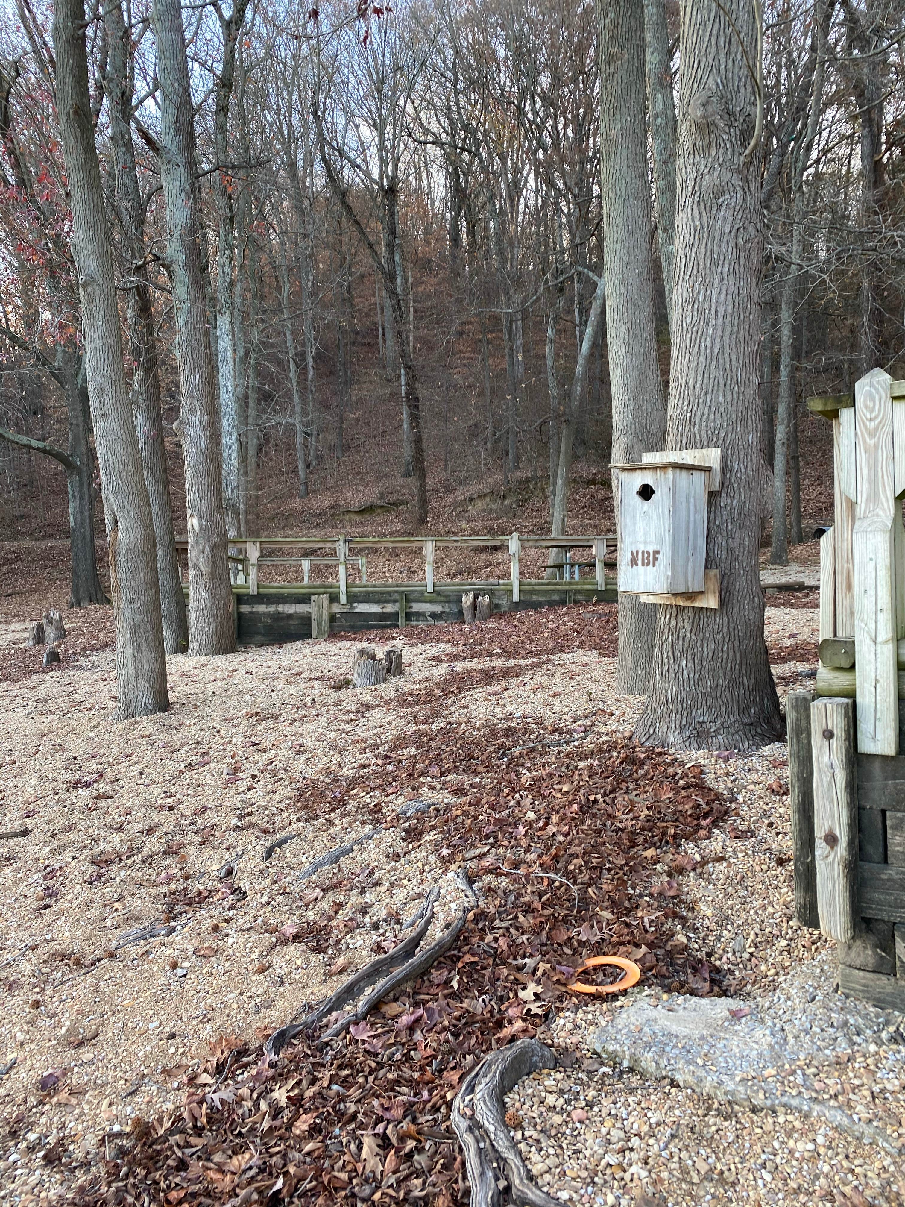 Camper submitted image from Red Rock Trail Backcountry Shelter — Nathan Bedford Forrest State Park - 2