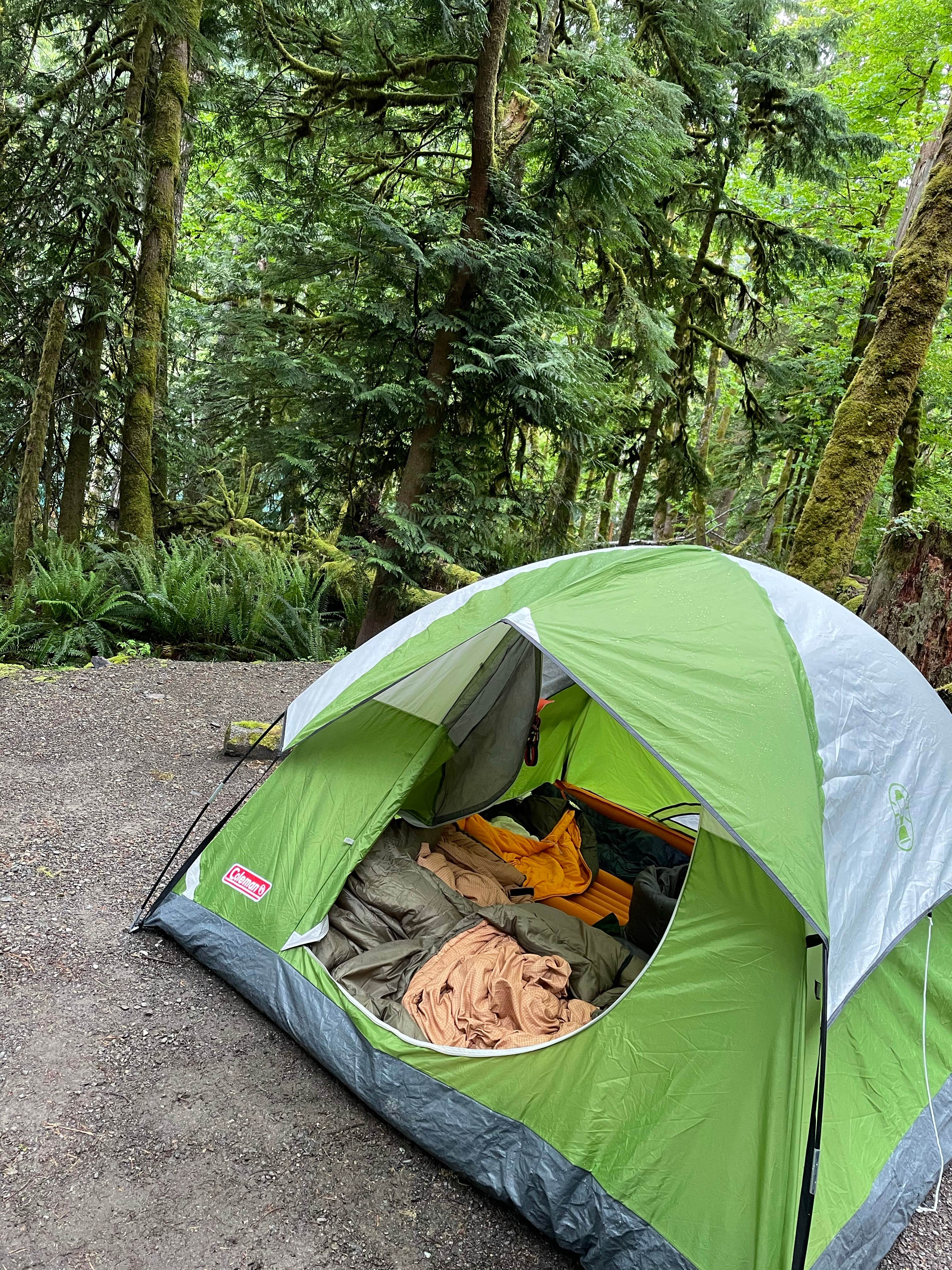 Olivia W.'s photo at Fairholme Campground — Olympic National Park near Joyce, WA