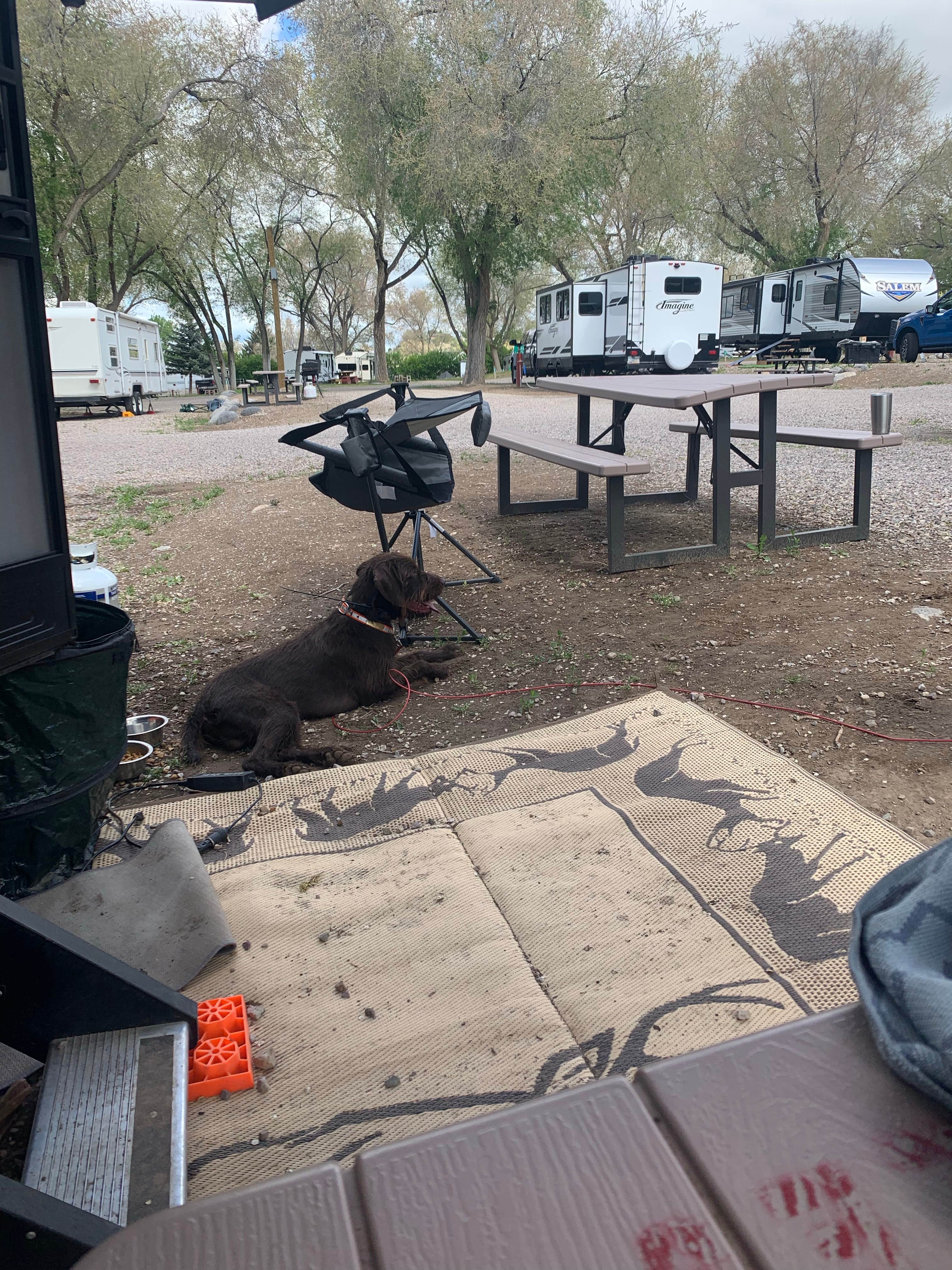 Katy R.'s photo at Pocatello KOA near American Falls, ID