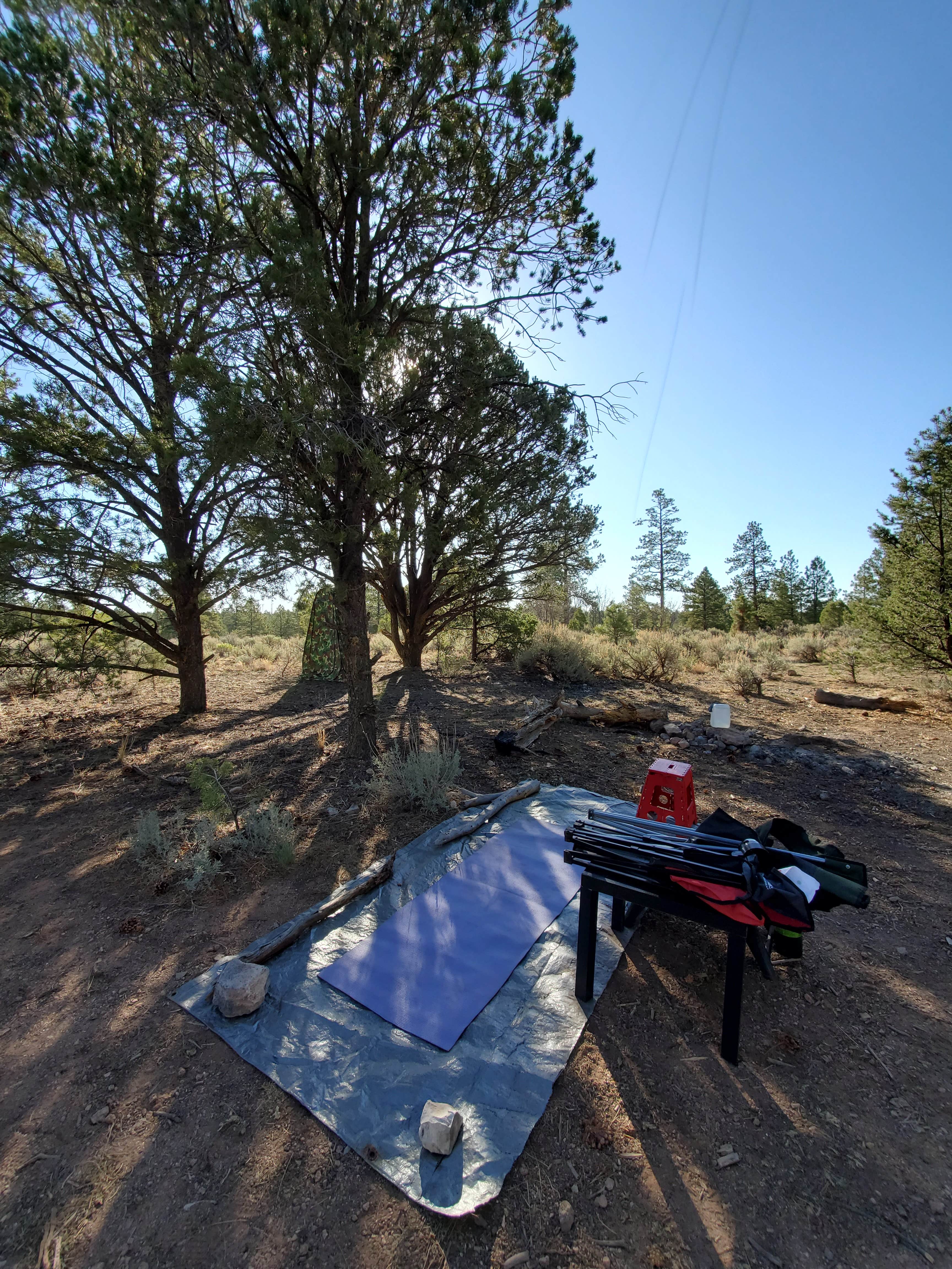 Kayla O.'s photo at Forest Service Road 328 Dispersed near Grand Canyon National Park