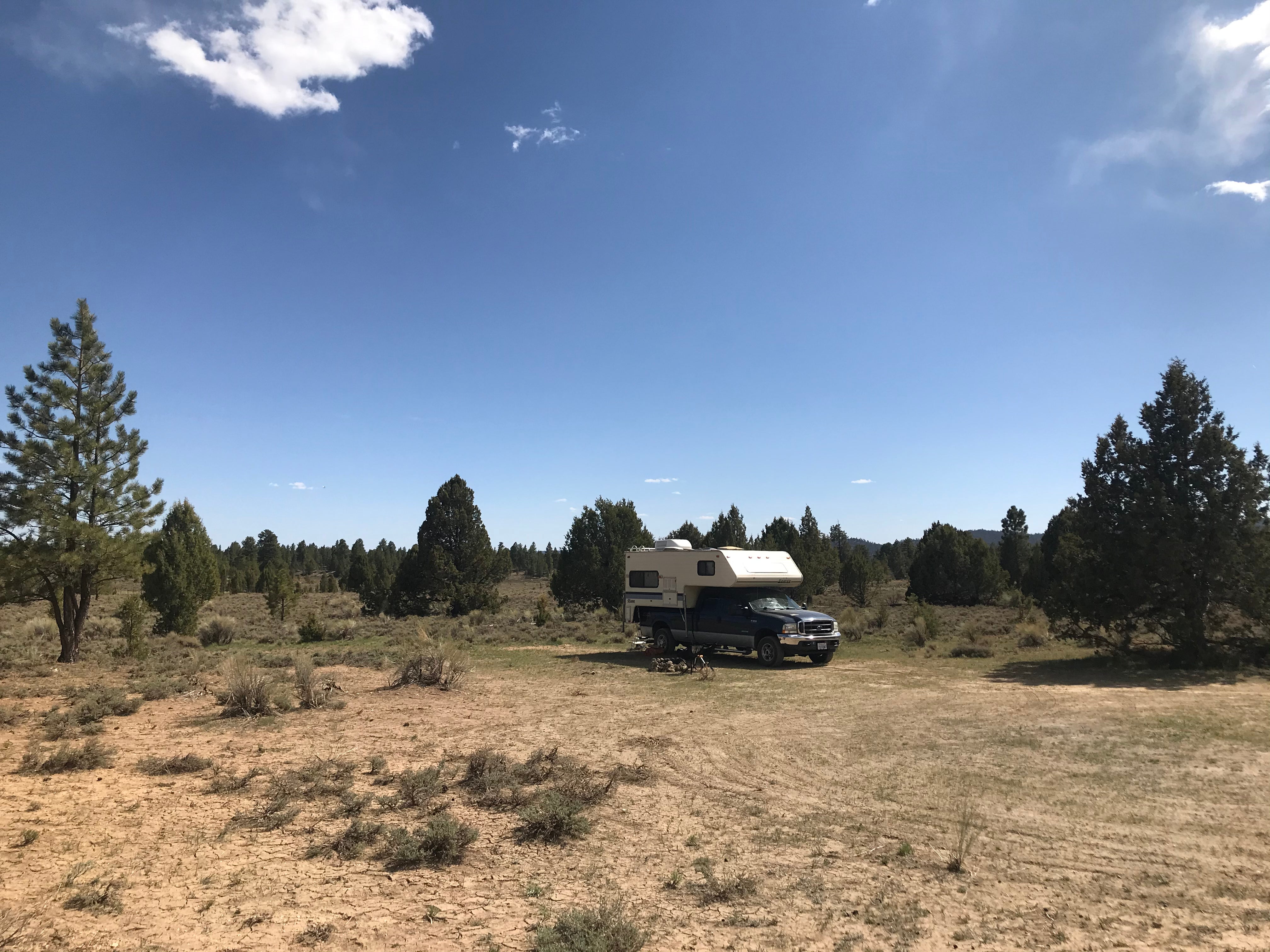 Camper submitted image from Toms Best Spring Road - Dispersed Camping - 1