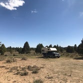Review photo of Toms Best Spring Road - Dispersed Camping by Tyler , May 27, 2021