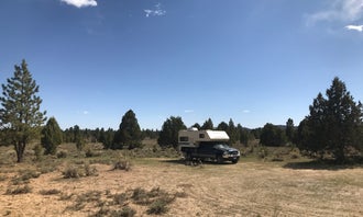 Toms Best Spring Road - Dispersed Camping