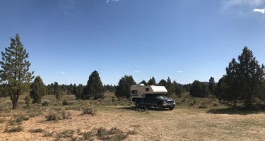 Toms Best Spring Road - Dispersed Camping