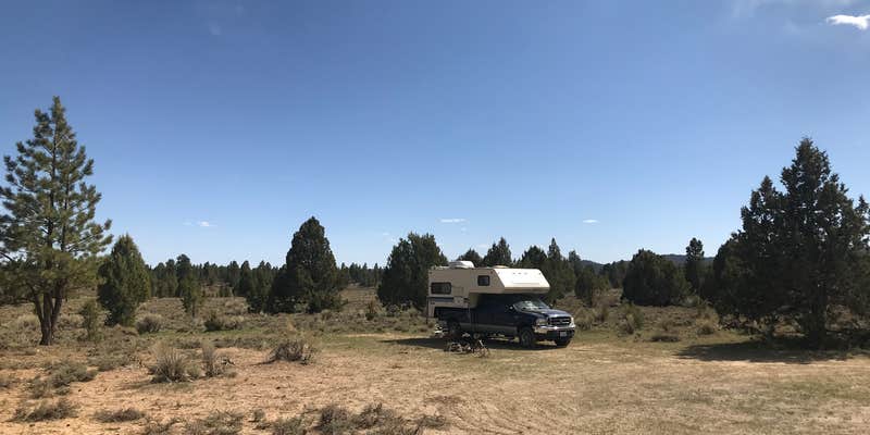 Camper submitted image from Toms Best Spring Road - Dispersed Camping