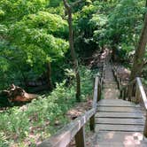 Review photo of Indiana Dunes State Park Campground by Kimberly L., May 27, 2021