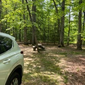 Review photo of Oak Ridge Campground — Prince William Forest Park by Clara K., May 27, 2021