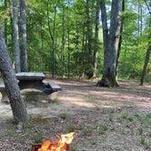 Review photo of Oak Ridge Campground — Prince William Forest Park by Clara K., May 27, 2021