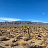 Review photo of Dispersed Camping - Mormon Well Road/Desert Pass by Brittany N., May 27, 2021