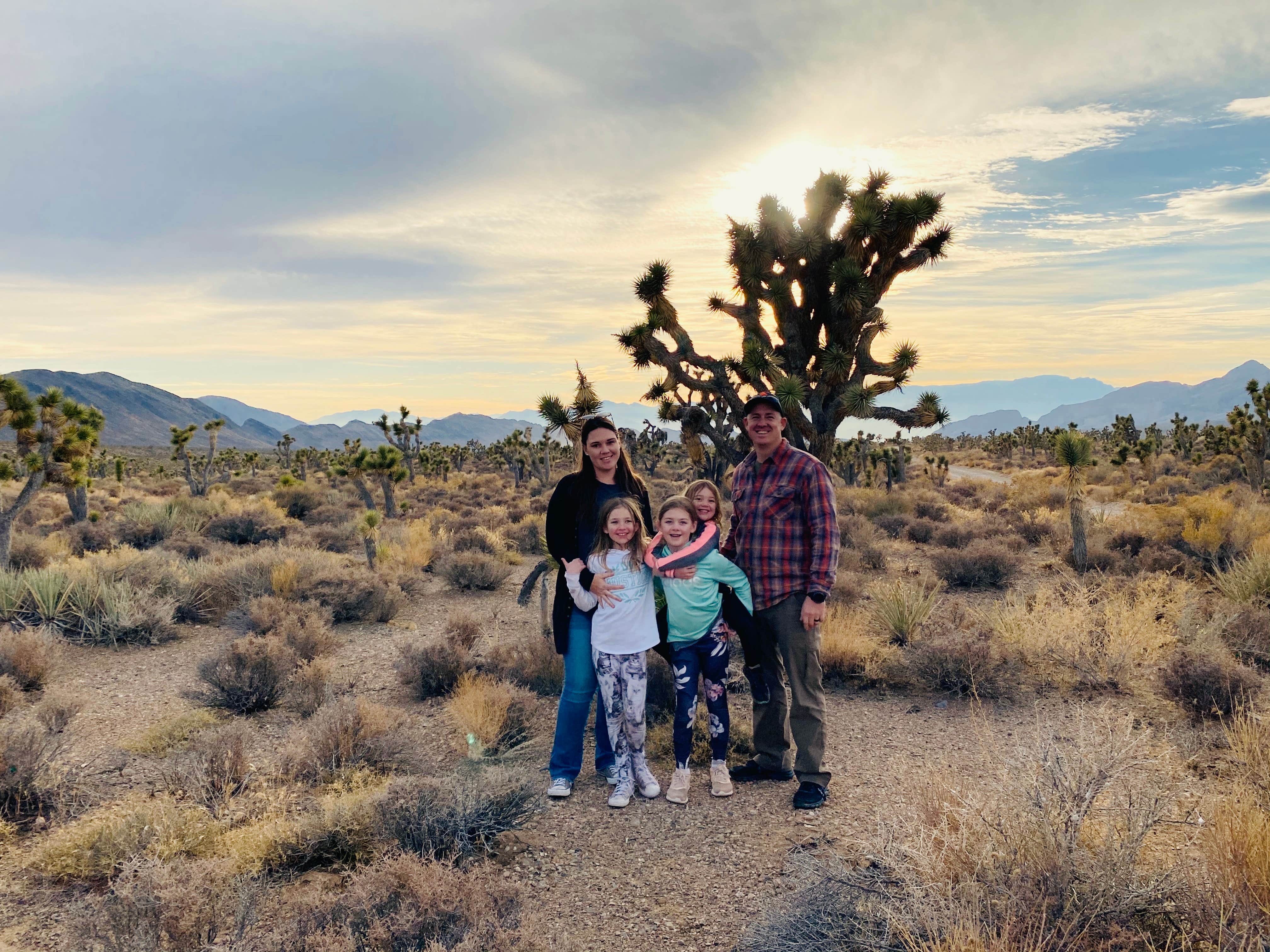 Camper submitted image from Dispersed Camping - Mormon Well Road/Desert Pass - 5