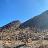 Review photo of Dispersed Camping - Mormon Well Road/Desert Pass by Brittany N., May 27, 2021