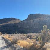 Review photo of Dispersed Camping - Mormon Well Road/Desert Pass by Brittany N., May 27, 2021