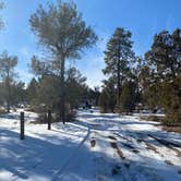 Review photo of Dispersed Camping - Mormon Well Road/Desert Pass by Brittany N., May 27, 2021