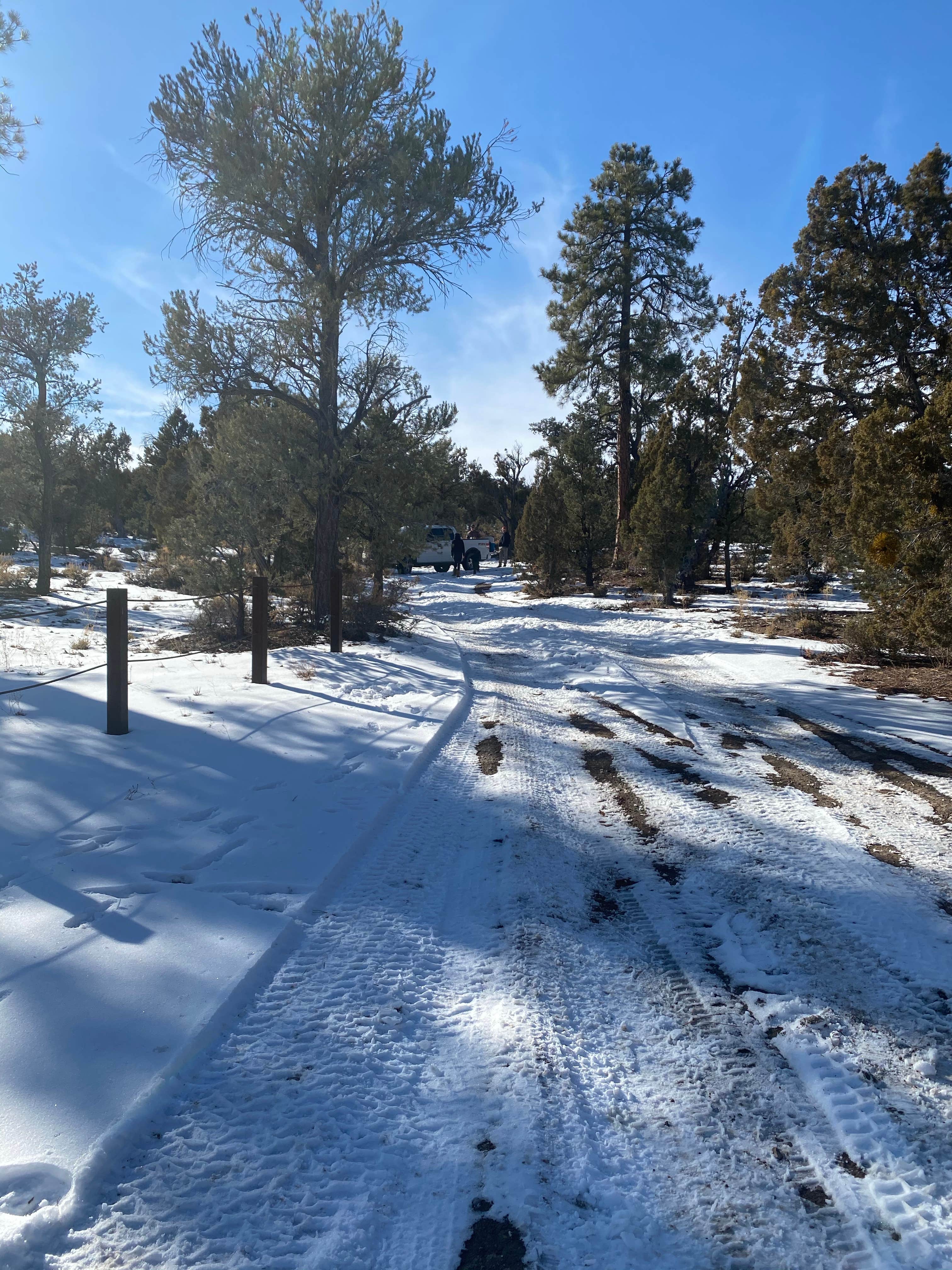 Camper submitted image from Dispersed Camping - Mormon Well Road/Desert Pass - 4