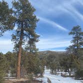 Review photo of Dispersed Camping - Mormon Well Road/Desert Pass by Brittany N., May 27, 2021