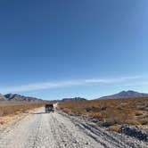 Review photo of Dispersed Camping - Mormon Well Road/Desert Pass by Brittany N., May 27, 2021