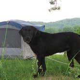 Review photo of COE Table Rock Lake Old Highway 86 Park by Book W., June 5, 2018