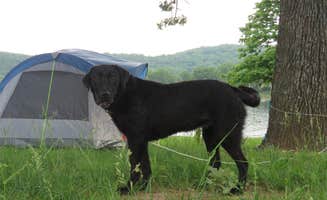 Book W.'s photo of camping with pets at COE Table Rock Lake Old Highway 86 Park near Reeds Spring, MO