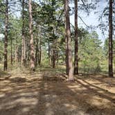 Review photo of Mancos State Park Campground by Jim H., May 27, 2021
