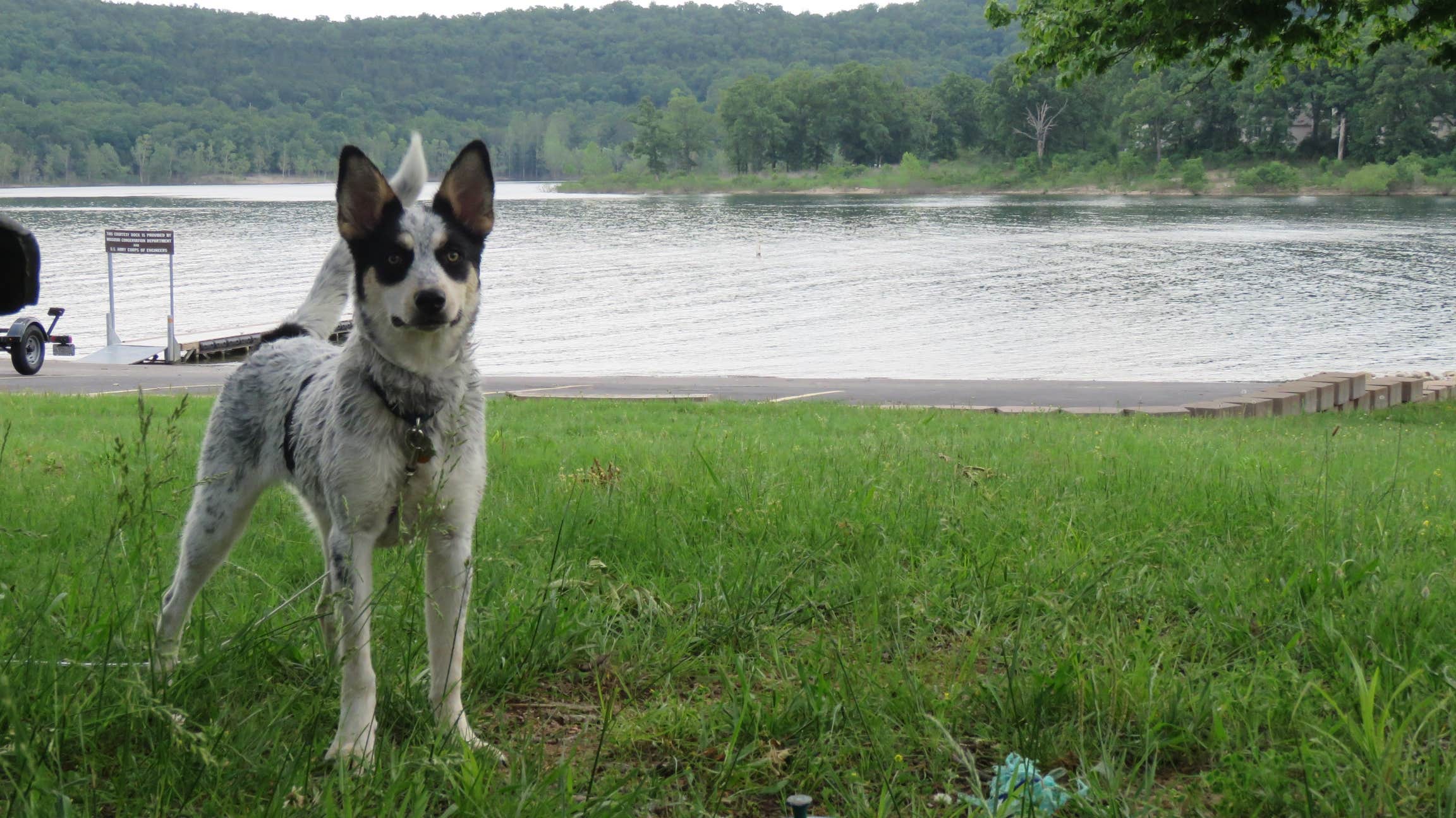 Escape to Serenity: Missouri Old Highway 86 Park, Your Gateway to Table Rock Lake