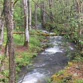 Review photo of Cataloochee Campground — Great Smoky Mountains National Park by Mike G., June 5, 2018