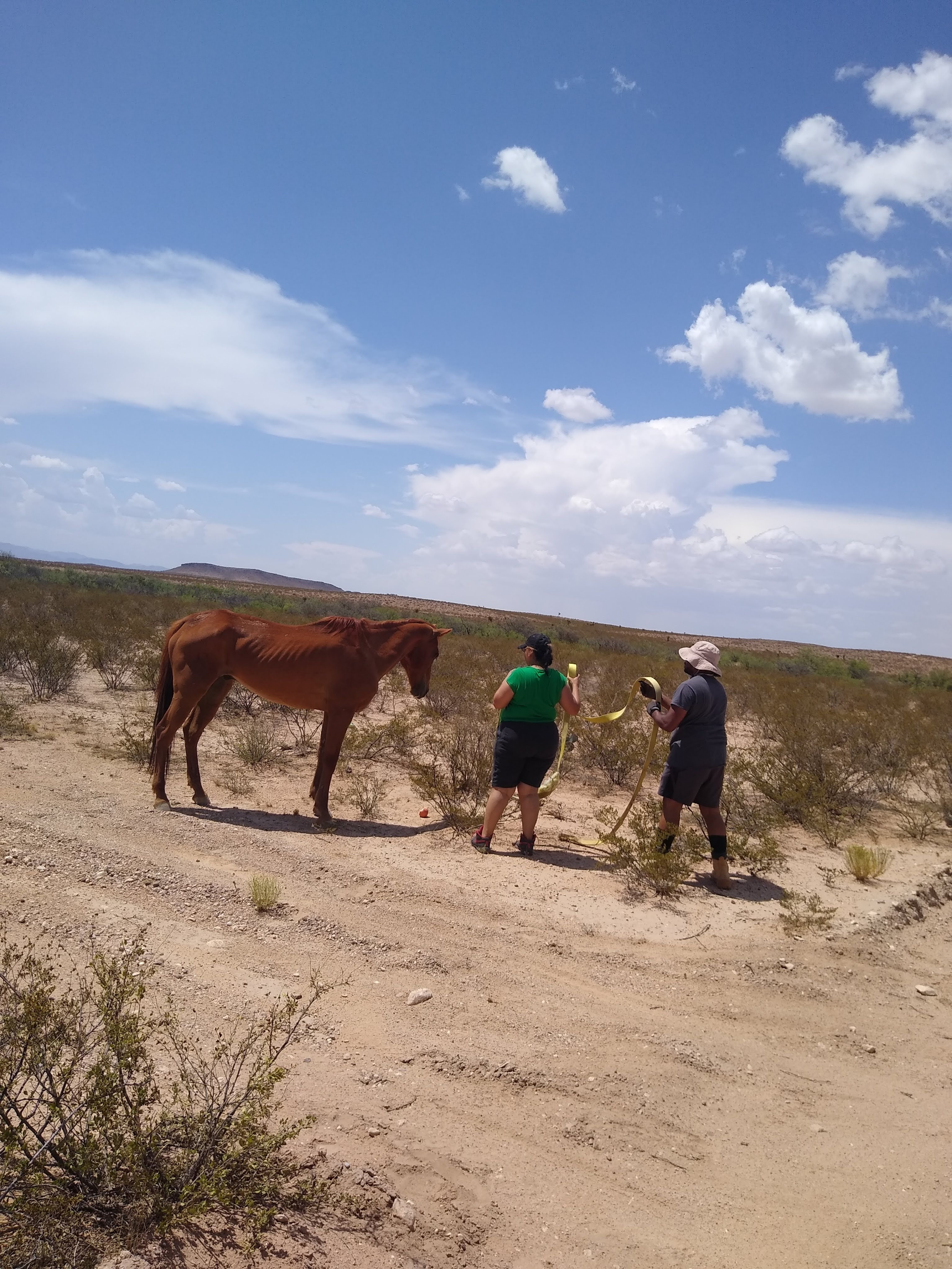 Camper submitted image from Apache Park and Trail Camping - 5