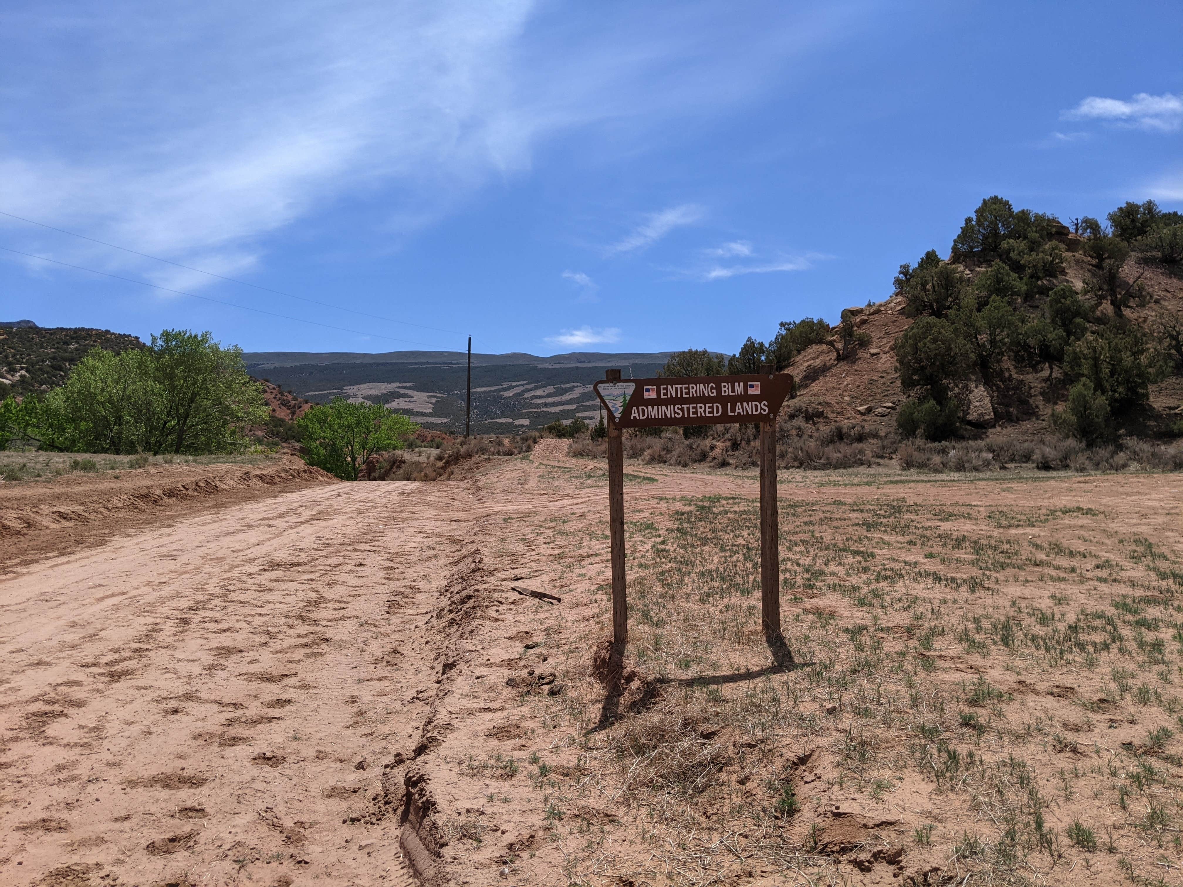 Camper submitted image from Lower Blue Mt Road BLM Dispersed - 1