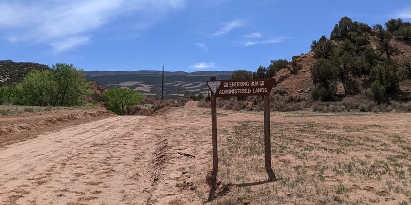 Camper submitted image from Lower Blue Mt Road BLM Dispersed