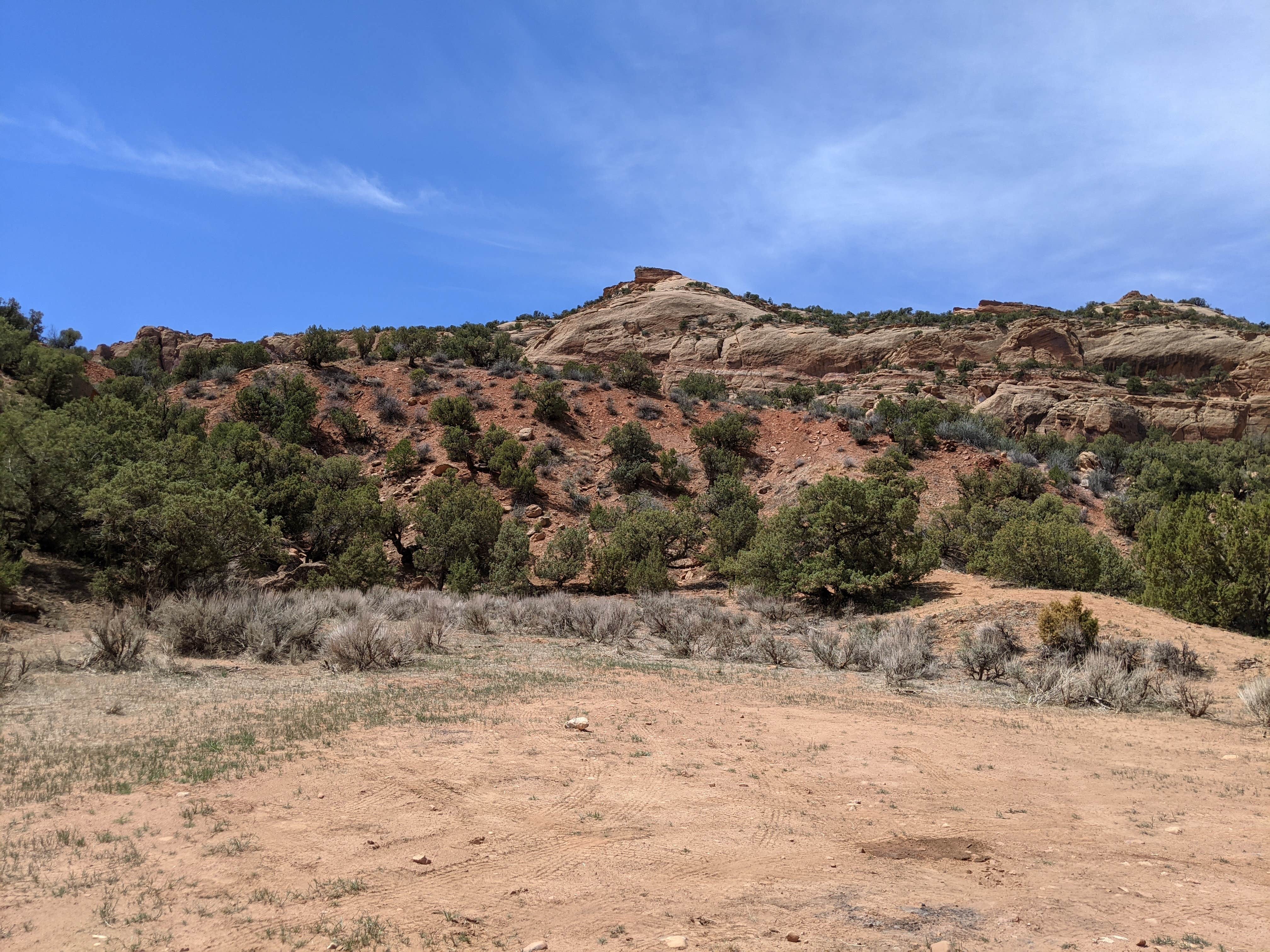 Camper-submitted photo at Lower Blue Mt Road BLM Dispersed near Dinosaur, CO