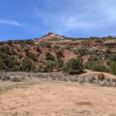 Review photo of Lower Blue Mt Road BLM Dispersed by Greg L., May 28, 2021