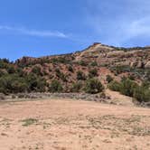 Review photo of Lower Blue Mt Road BLM Dispersed by Greg L., May 28, 2021