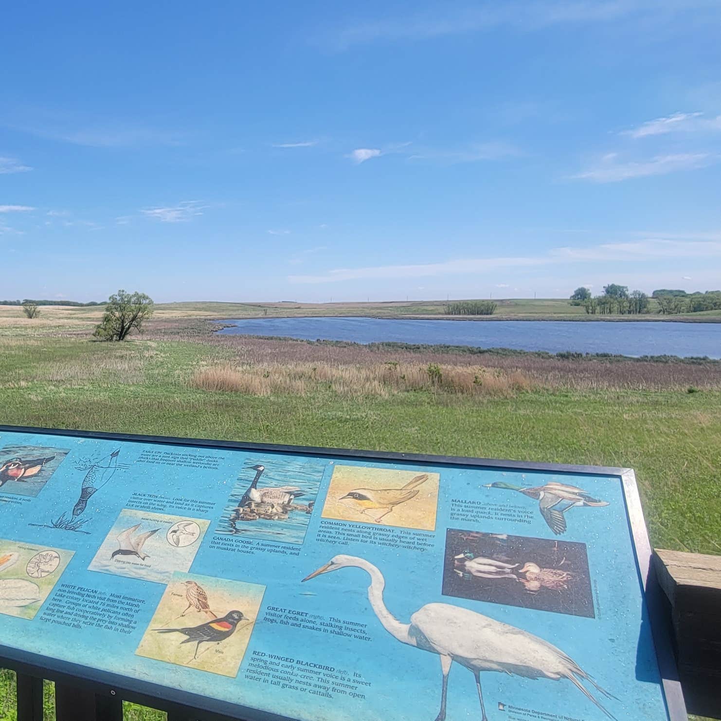 Oak Woods Campground — Lake Shetek State Park Currie, MN