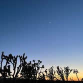 Review photo of Mojave Cross Dispersed — Mojave National Preserve by Sean S., May 28, 2021