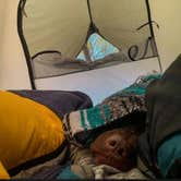 Review photo of Summer Shoals Retreat by James & Lora C., May 28, 2021