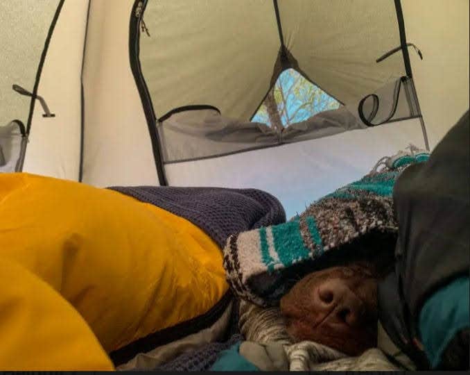 Camper submitted image from Summer Shoals Retreat - 3