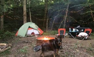 James & Lora C.'s photo of camping with pets at Summer Shoals Retreat in Kentucky