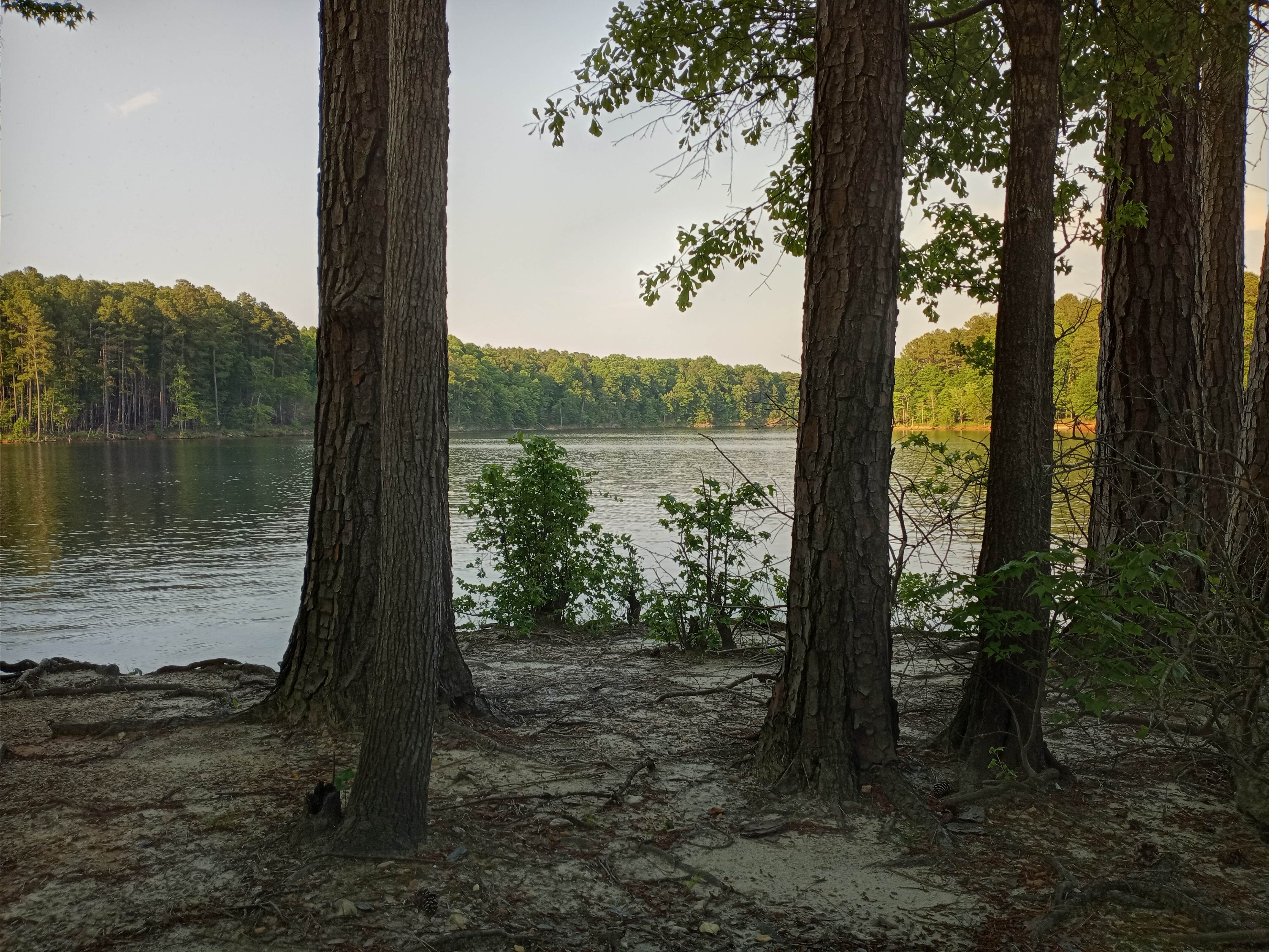 Camper submitted image from B.W. Wells — Falls Lake State Recreation Area - 2