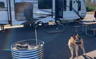 Stephanie B.'s photo of camping with pets at McLain State Park Campground near Copper Harbor, MI