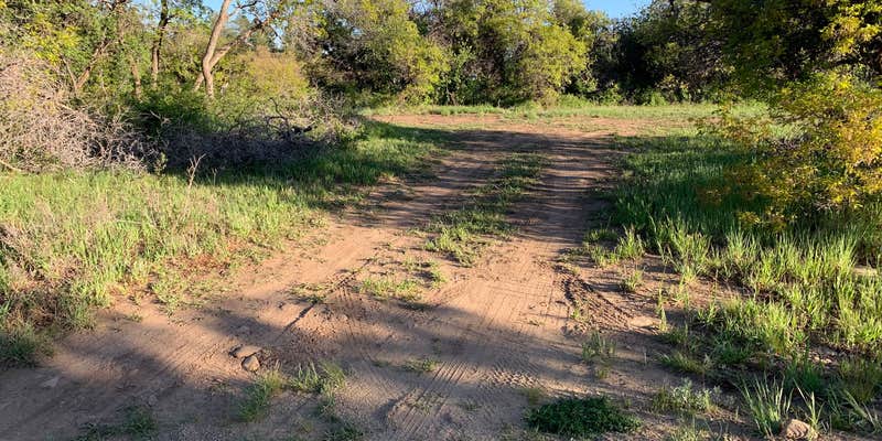 Camper submitted image from Madden Peak Road - Dispersed