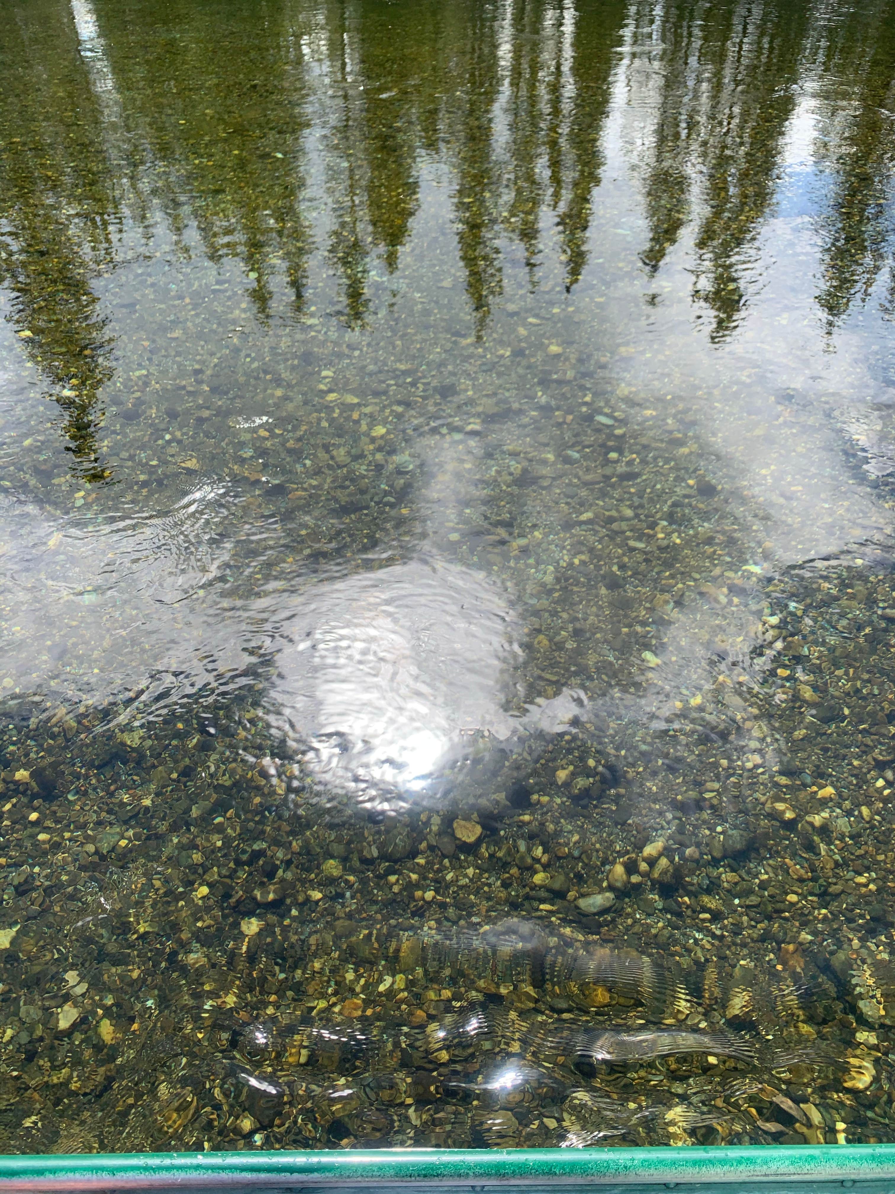 Camper-submitted photo at Clearwater State Rec Area near Fort Greely, AK