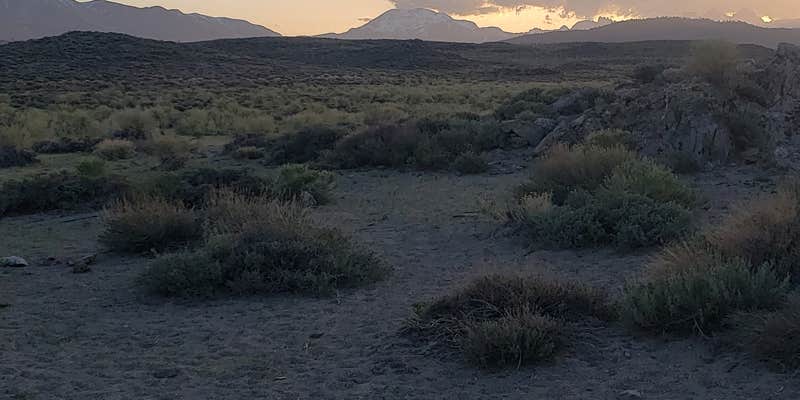 Camper submitted image from Wild Willy’s Hot Springs