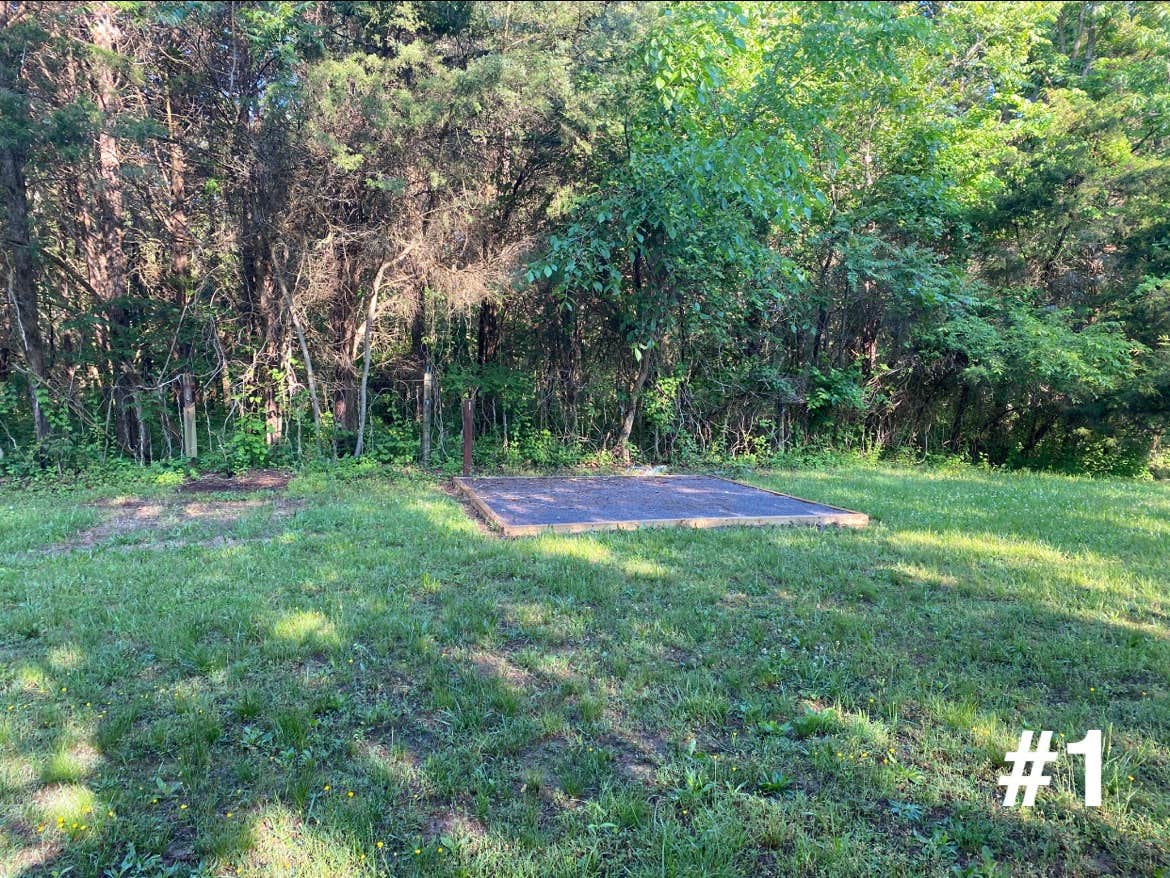 Camper-submitted photo at Mulehalla near Rippon, WV