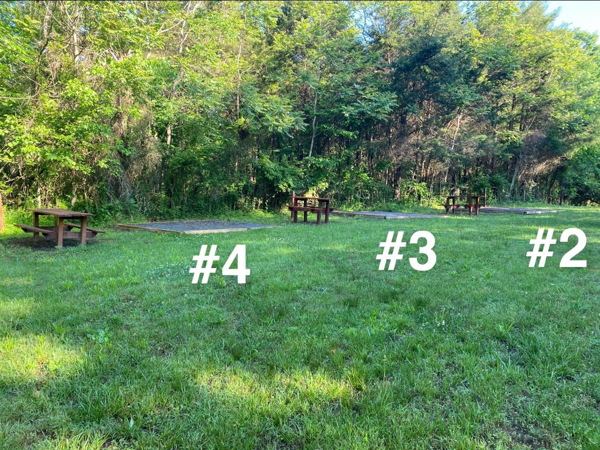 Camper-submitted photo at Mulehalla near Rippon, WV