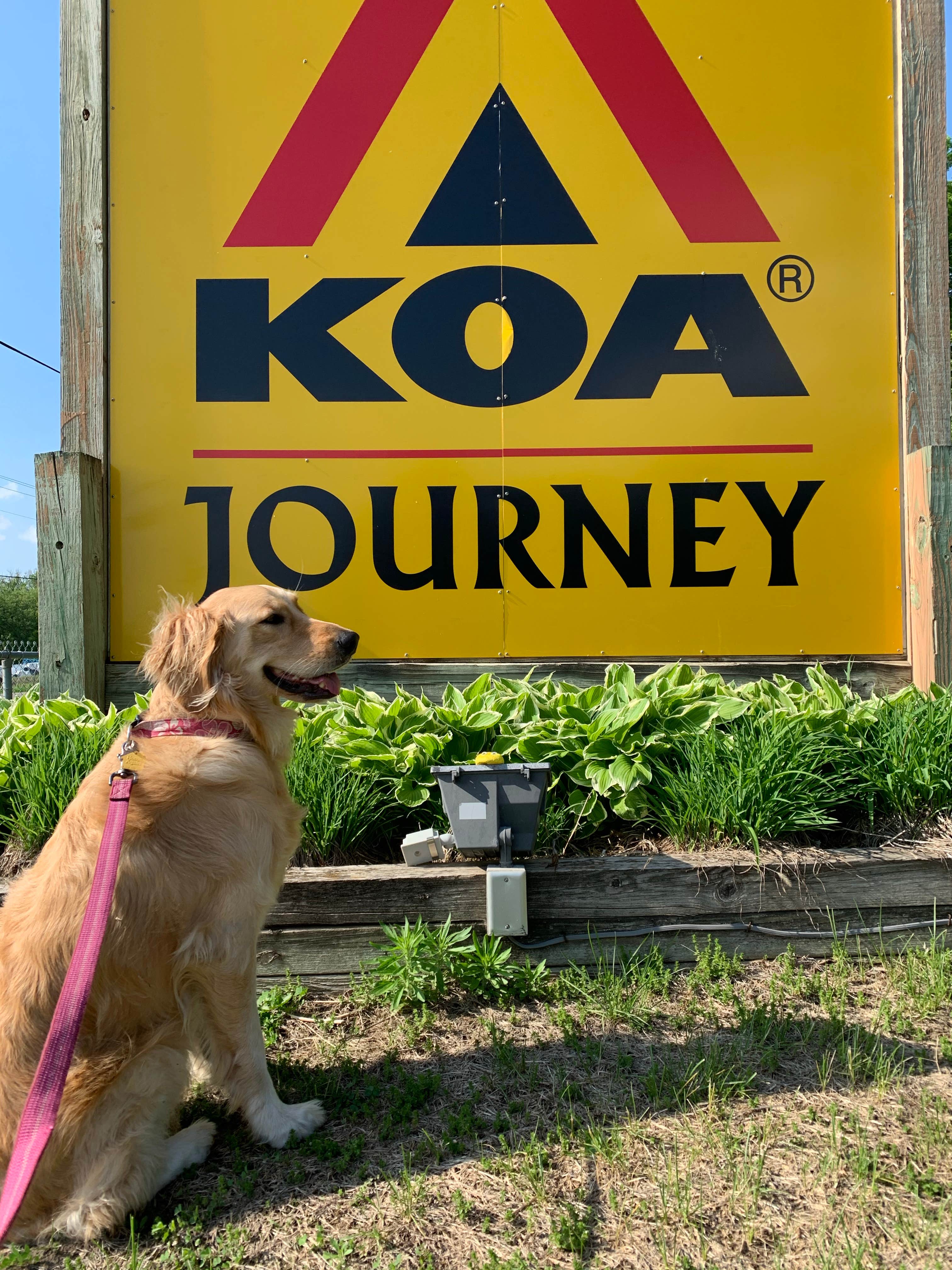 Camper-submitted photo at Minneapolis Northwest KOA near Long Lake, MN