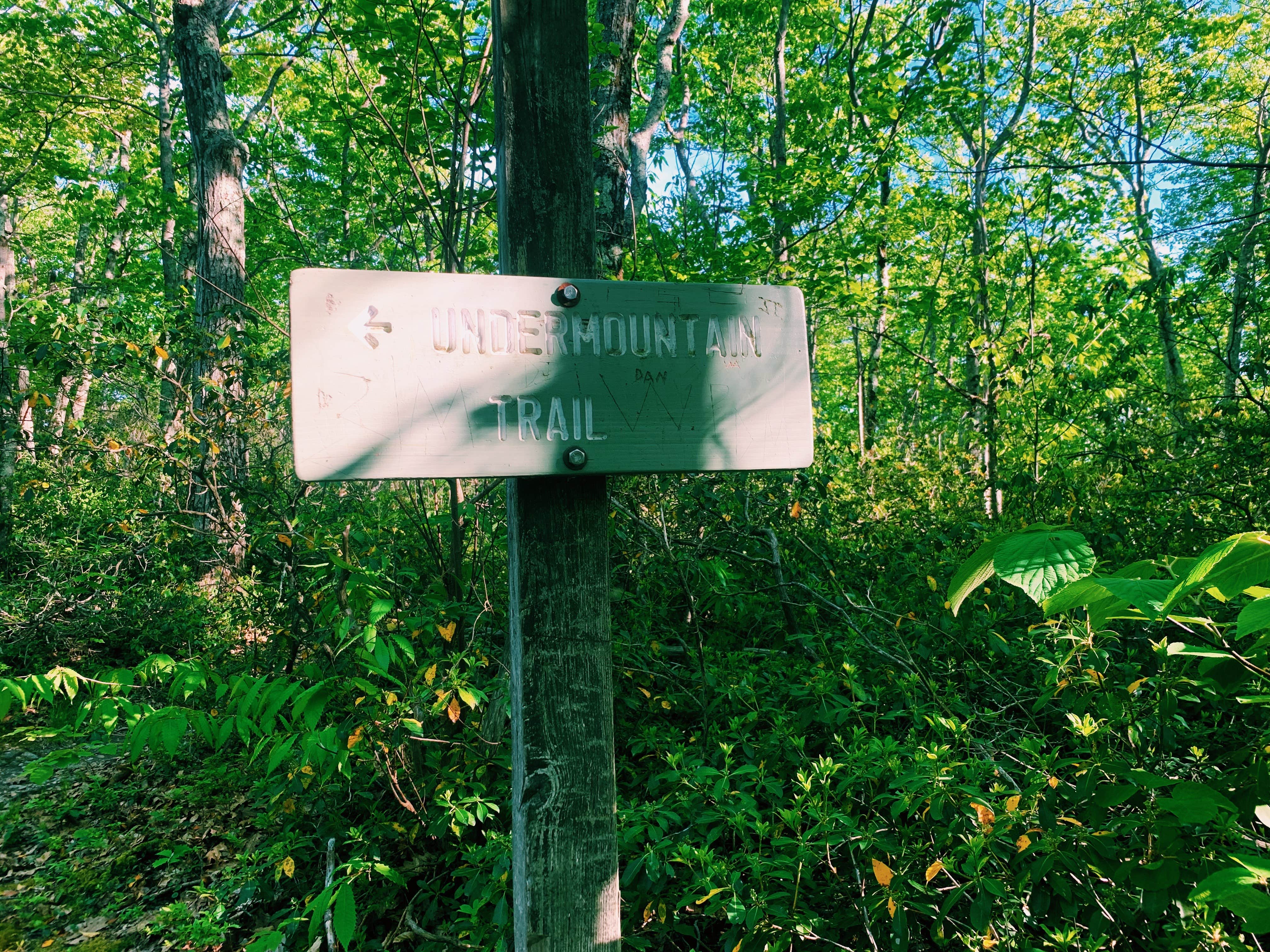 Camping near Laurel Ridge — Mount Everett State Reservation: Riga Lean-To, Taconic, Connecticut