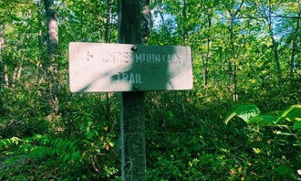 Camping near Brassie Brook Shelter - Bear Mountain — Appalachian National Scenic Trail: Riga Lean-To, Taconic, Connecticut