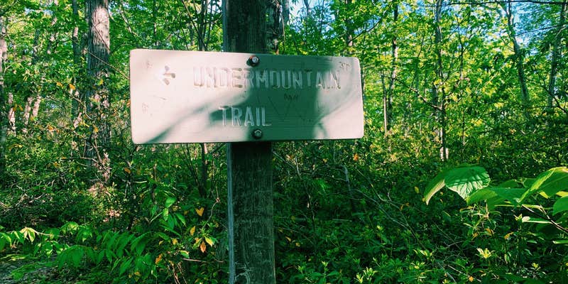 Camper submitted image from Riga Lean-To