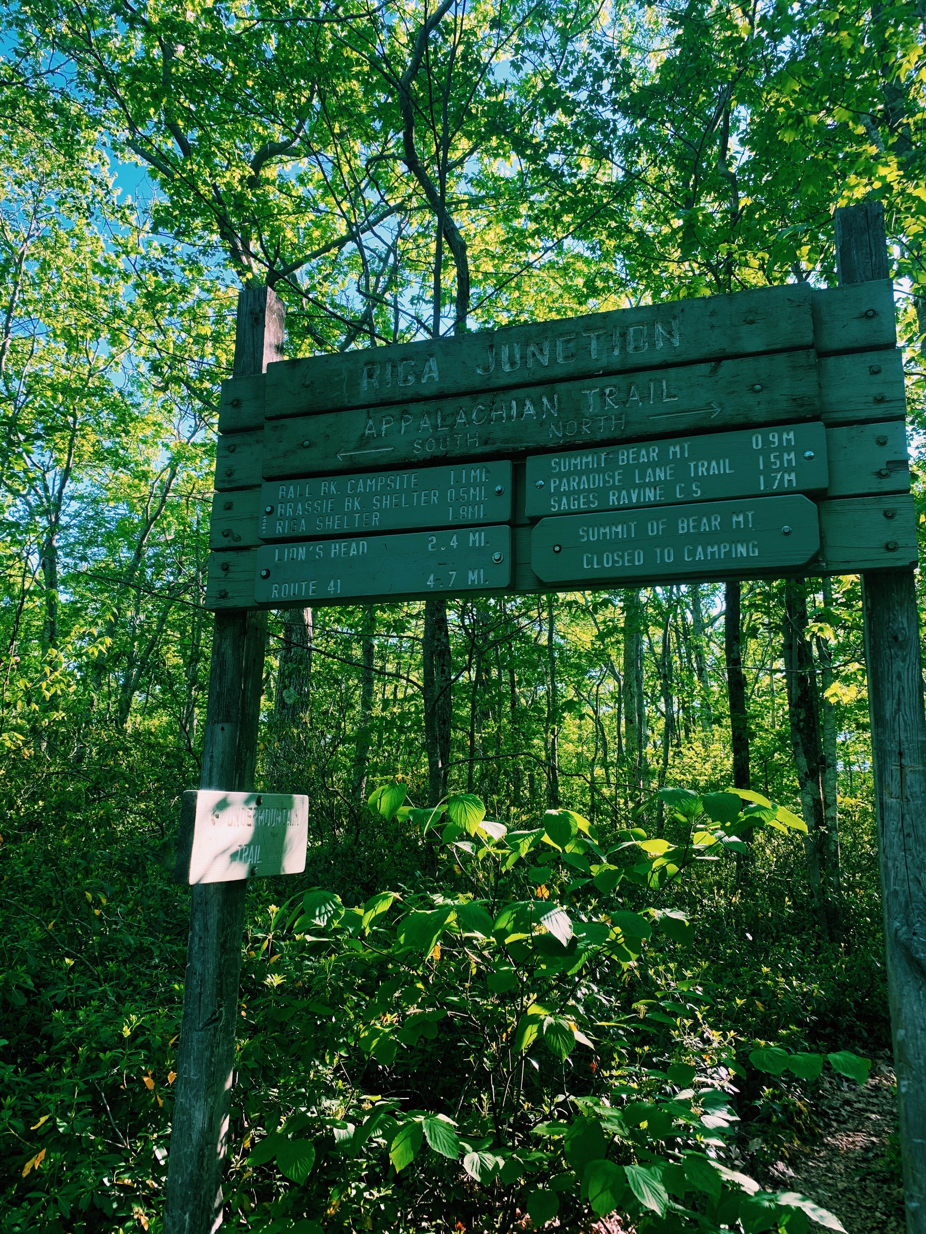 Camper-submitted photo at Riga Lean-To near Ashley Falls, MA