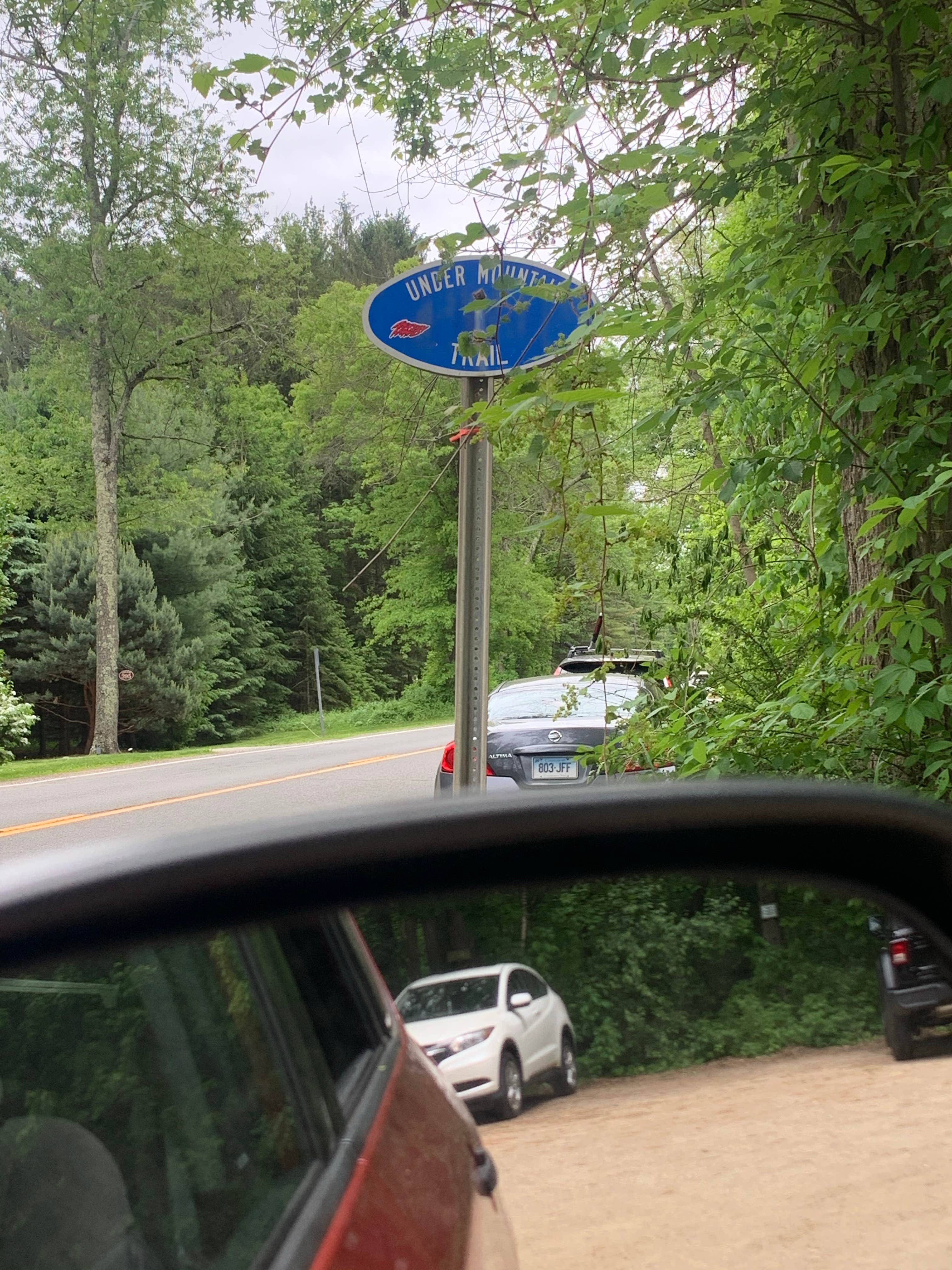 Camper-submitted photo at Riga Lean-To near Ashley Falls, MA
