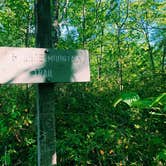 Review photo of Brassie Brook Shelter - Bear Mountain — Appalachian National Scenic Trail by Nora S., May 28, 2021